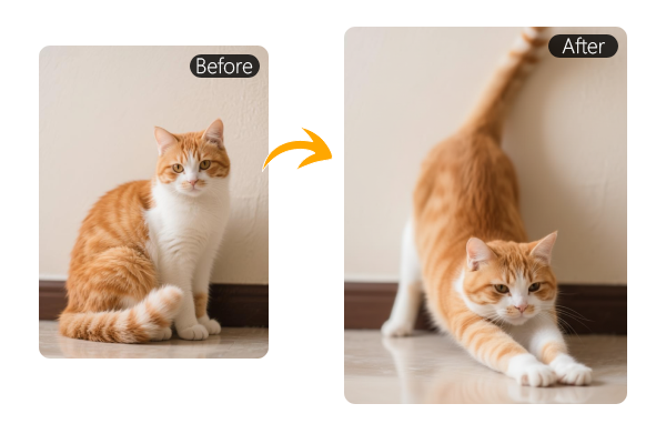 Cambia las poses para mascotas y animales