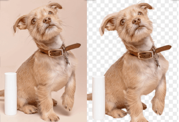 AI Background Remover – Fast, Accurate, and Easy